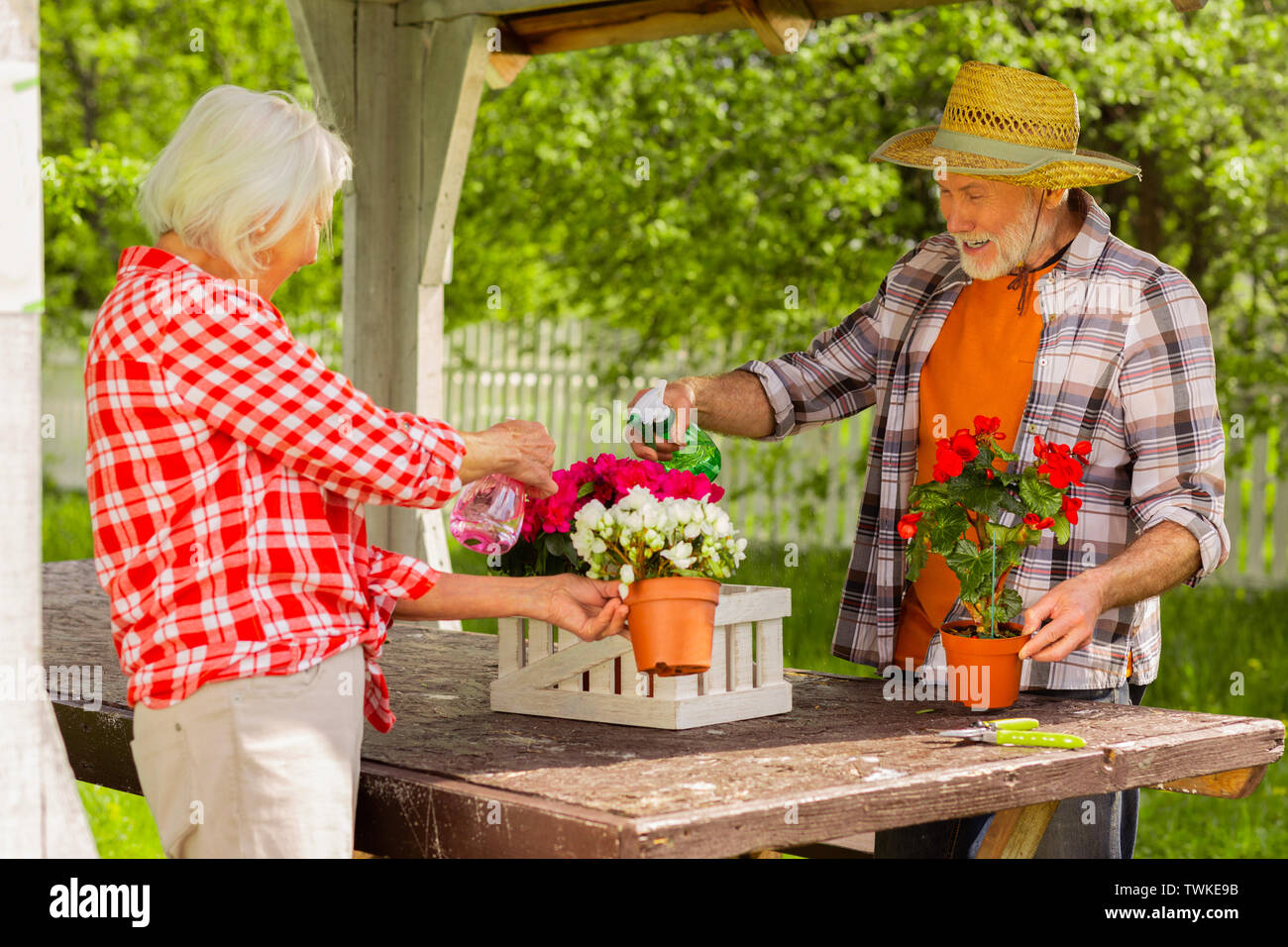 Blumen gießen zusammen. Paar strahlt fröhliche Rentner Gefühl freudiger beim Blumen gießen zusammen Stockfoto