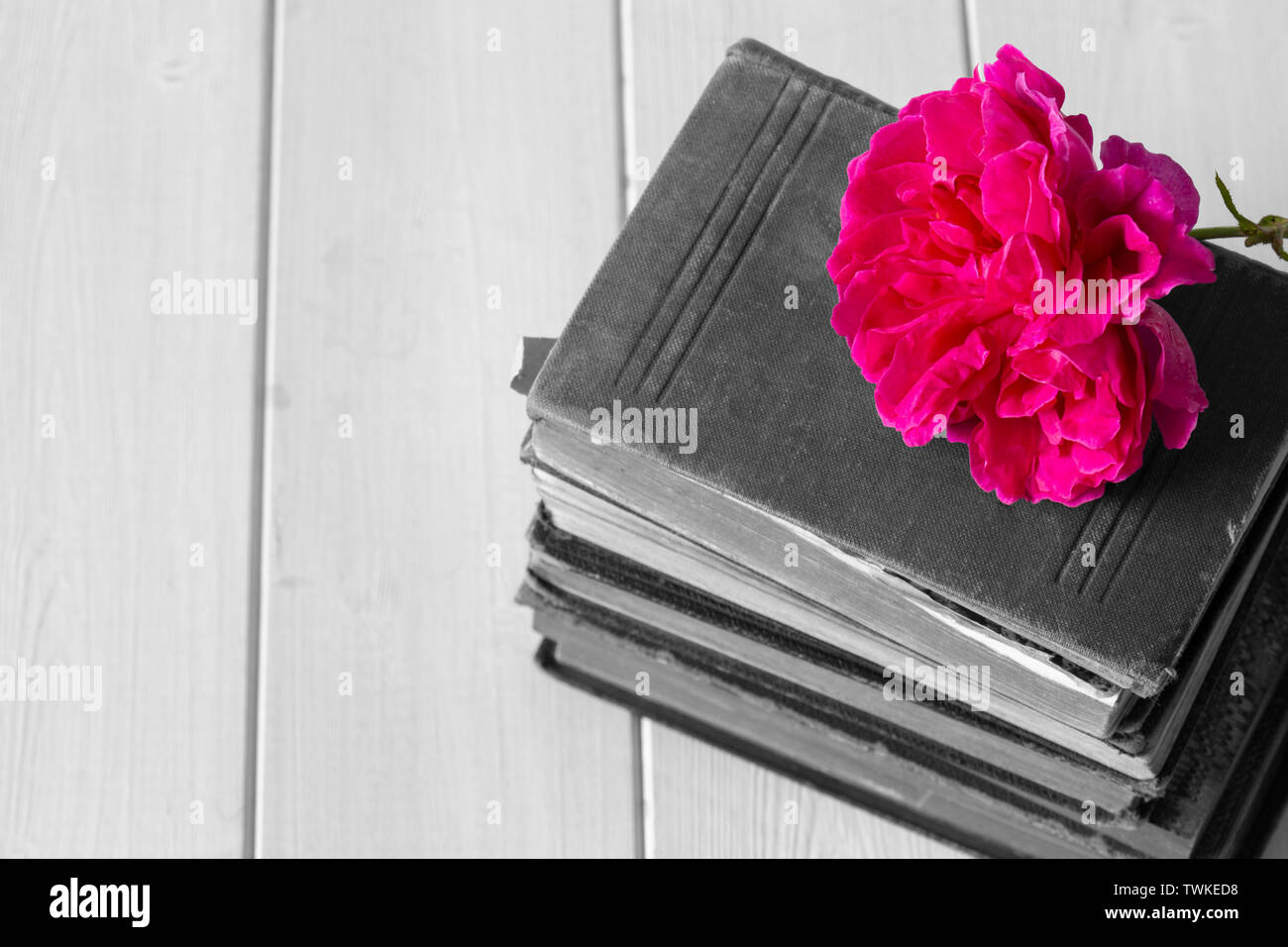 Rose Blume auf einem Haufen von alten, antiken Bücher. Auf einem weißen Holz Oberfläche. Durch selektive Farbkorrektur Stockfoto