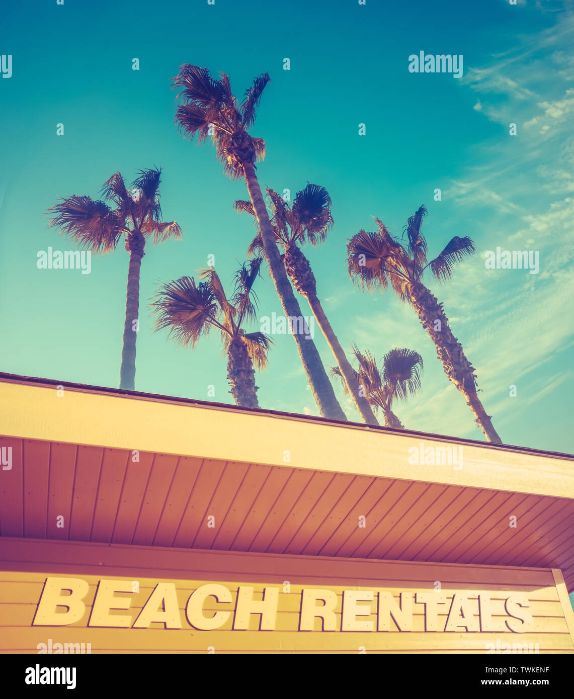 Beach Rentals Zeichen an einem Strand auf Hawaii mit Palmen und Kopie Raum Stockfoto