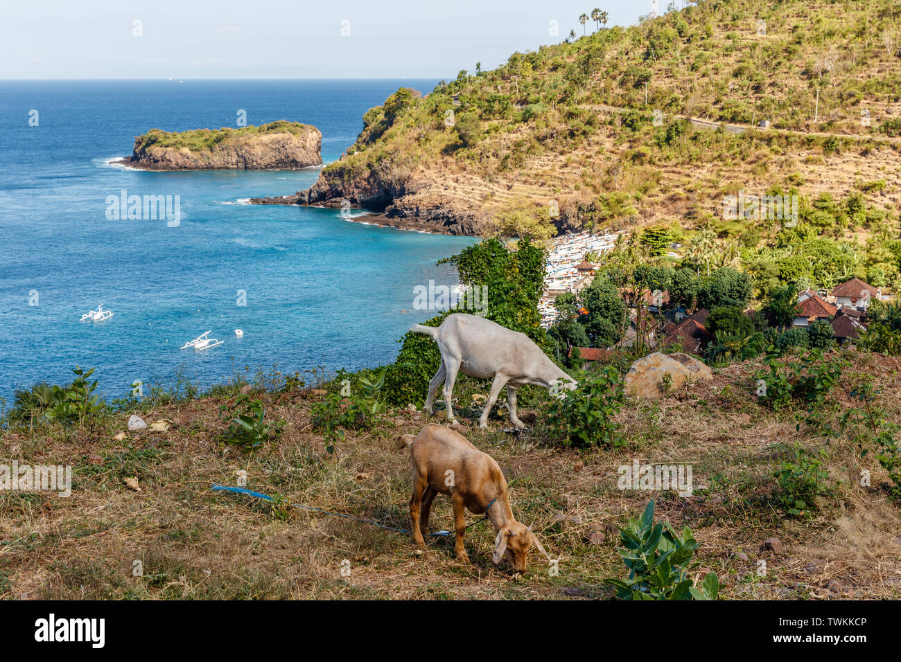 Blick auf Amed - Ozean, Bucht, Häuser, Ziegen, Karangasem Regency, Bali, Indonesien Stockfoto