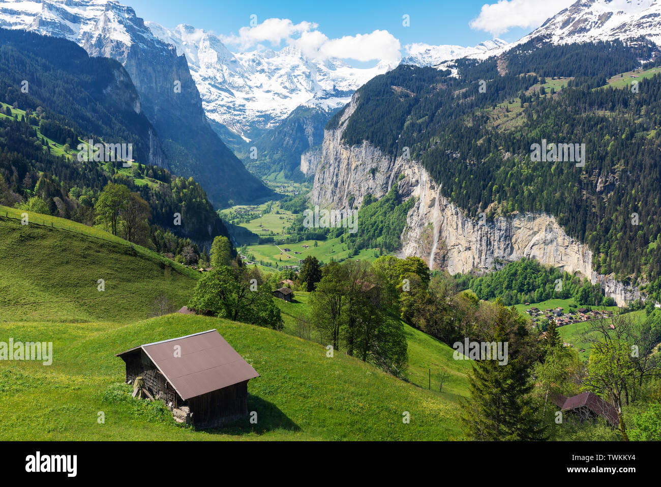 Landschaft, grüne Wiesen, Wald, ein Haus und Alpen im Sommer in Lauterbrunnen, Schweiz Stockfoto
