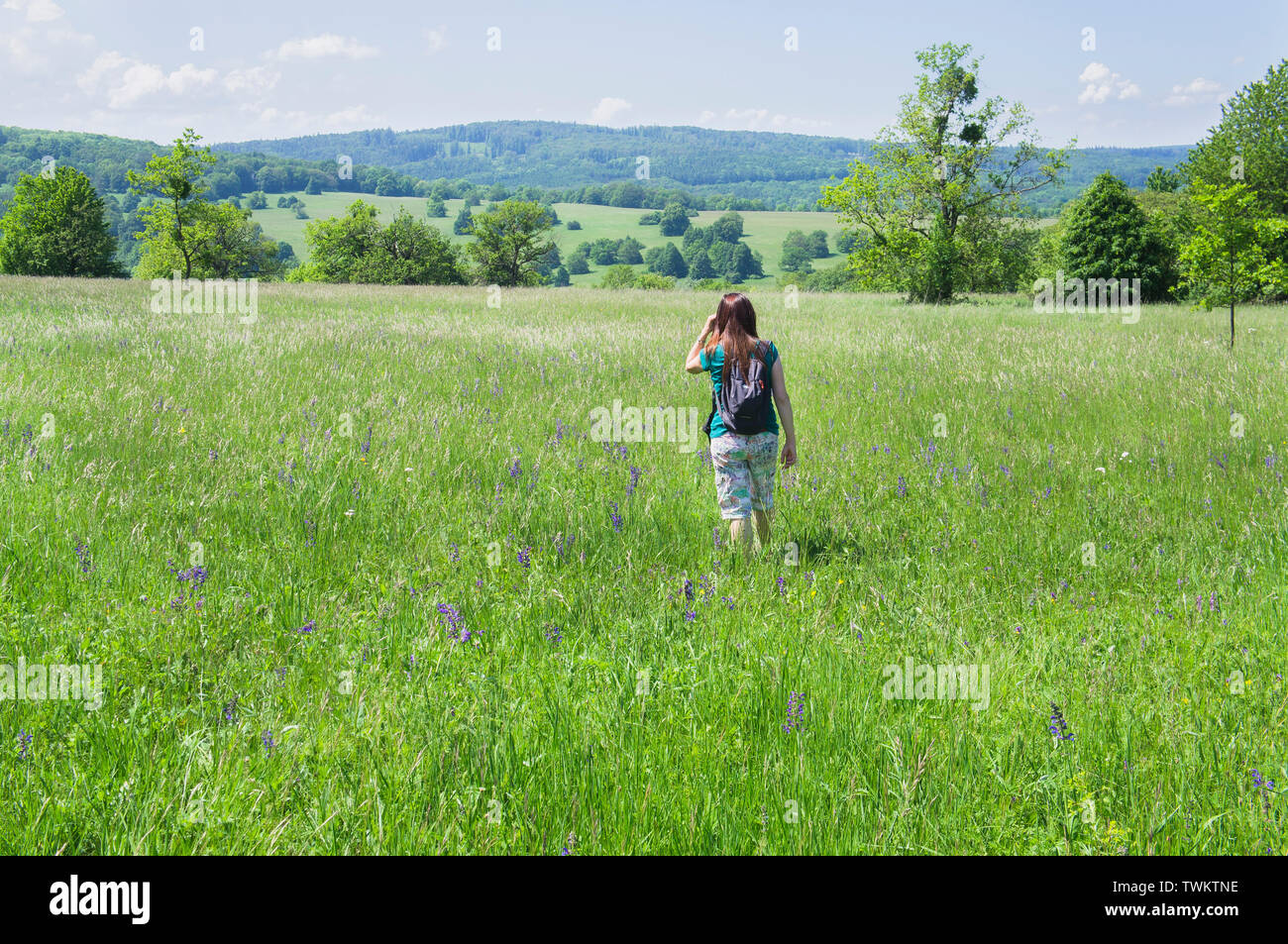 Nationales Naturschutzgebiet Certoryje in den Weißen Karpaten, Region Zlin, Tschechische Republik, 2. Juni 2019. (CTK Photo/Libor Sojka) Stockfoto