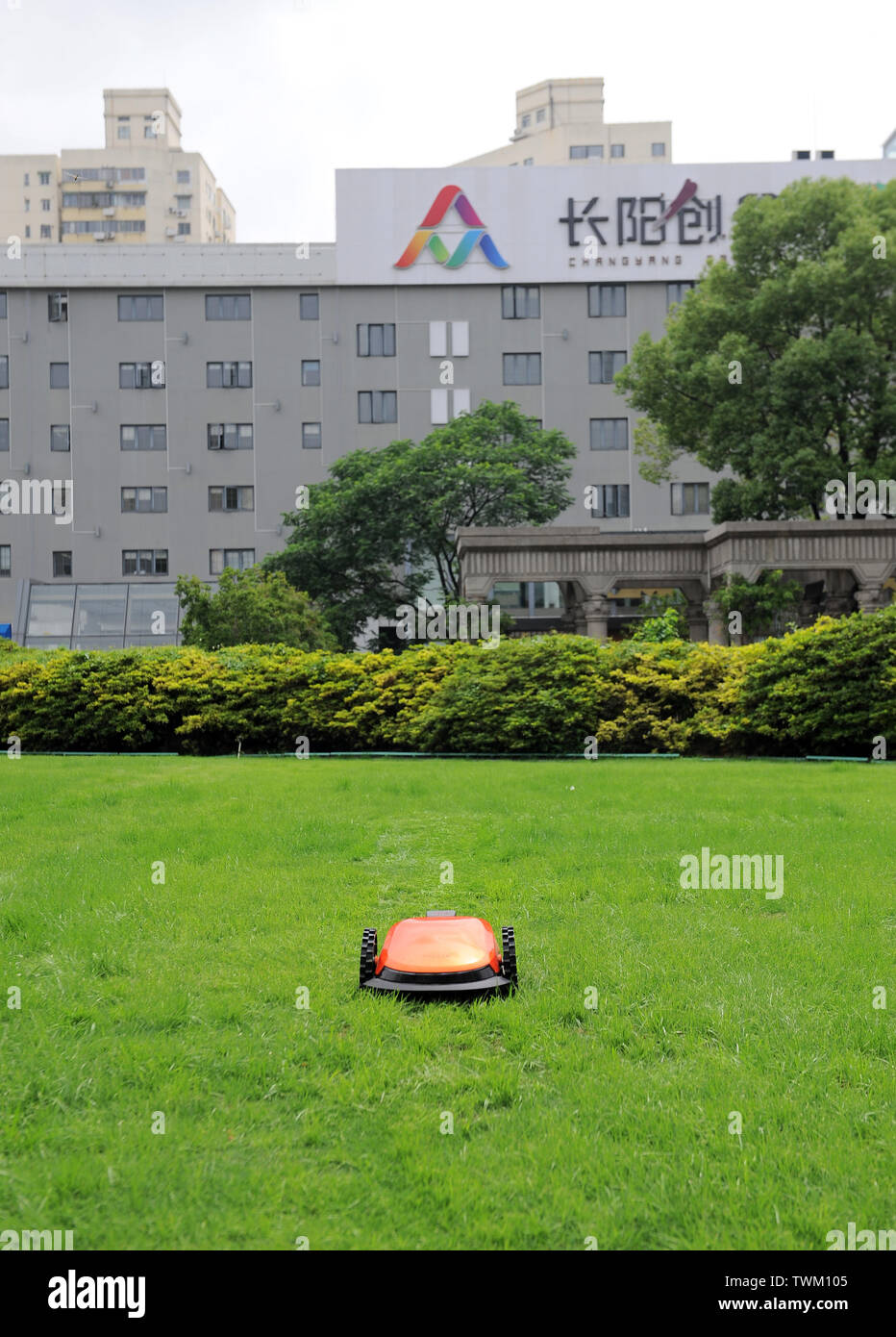 Shanghai, China Shanghai. Juni, 2019 21. Ein Roboter trimmt den Rasen an changyang Campus im Yangpu District, East China Shanghai, 21. Juni 2019. In den letzten Jahren, yangpu District hat kräftig die Künstliche Intelligenz (KI) Industrie in den Prozess der industriellen Transformation entwickelt, um mehrere Innovation Zonen mit Schwerpunkt auf AI wie Changyang Campus zu etablieren. Quelle: Ren Michael Wicke/Xinhua/Alamy leben Nachrichten Stockfoto