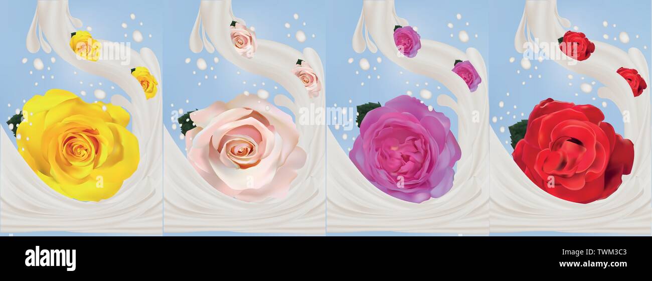 3d realistische Rose mit Milch spritzt. Wunderschöne Rosen Gelb, Rot, Rosa und Beige. Vector Illustration. Milch bespritzt und Rosen. Stock Vektor