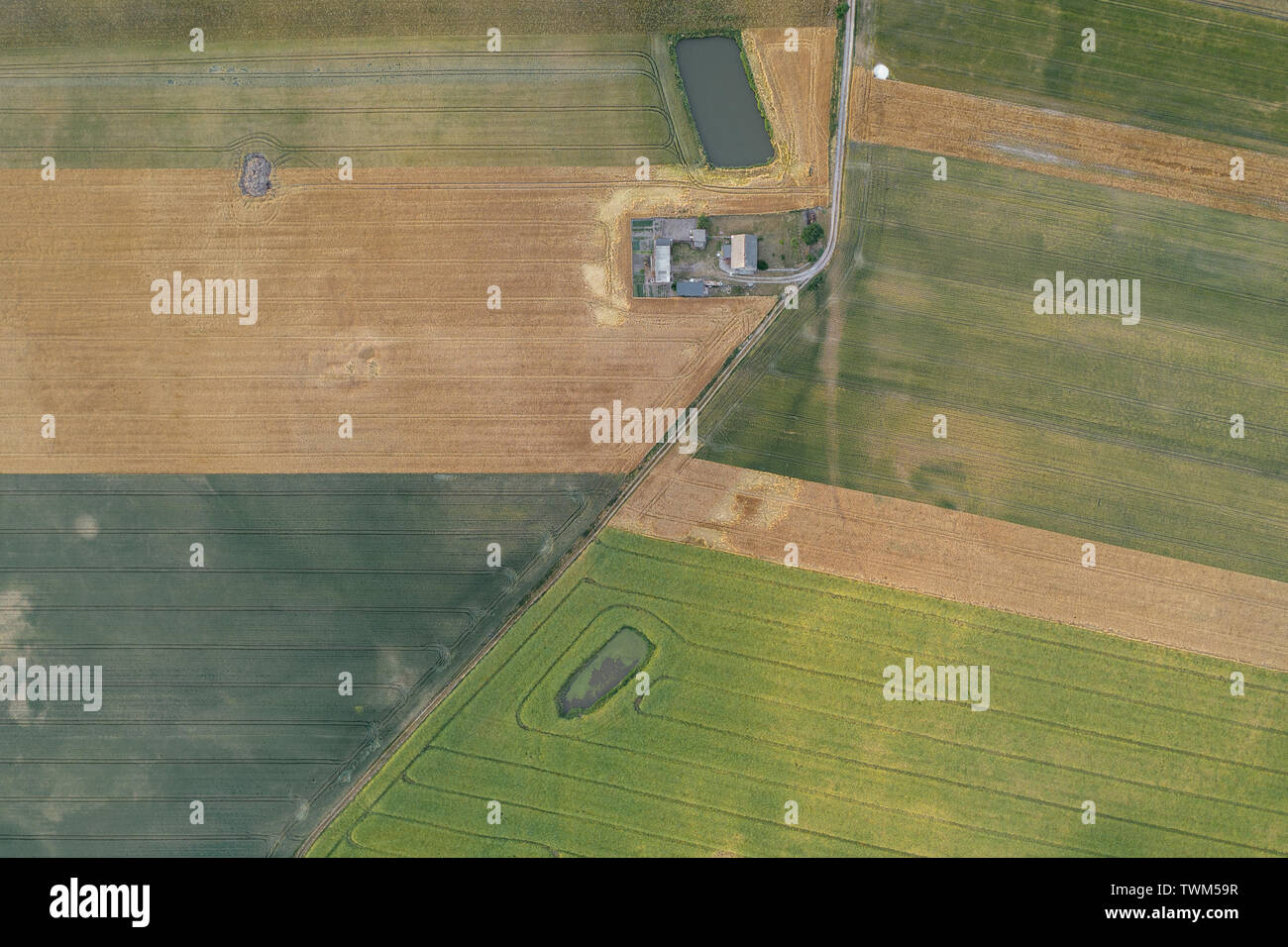 Landwirtschaftliche Felder der westlichen Polen, sunset Landschaft von flachen Land. Stockfoto