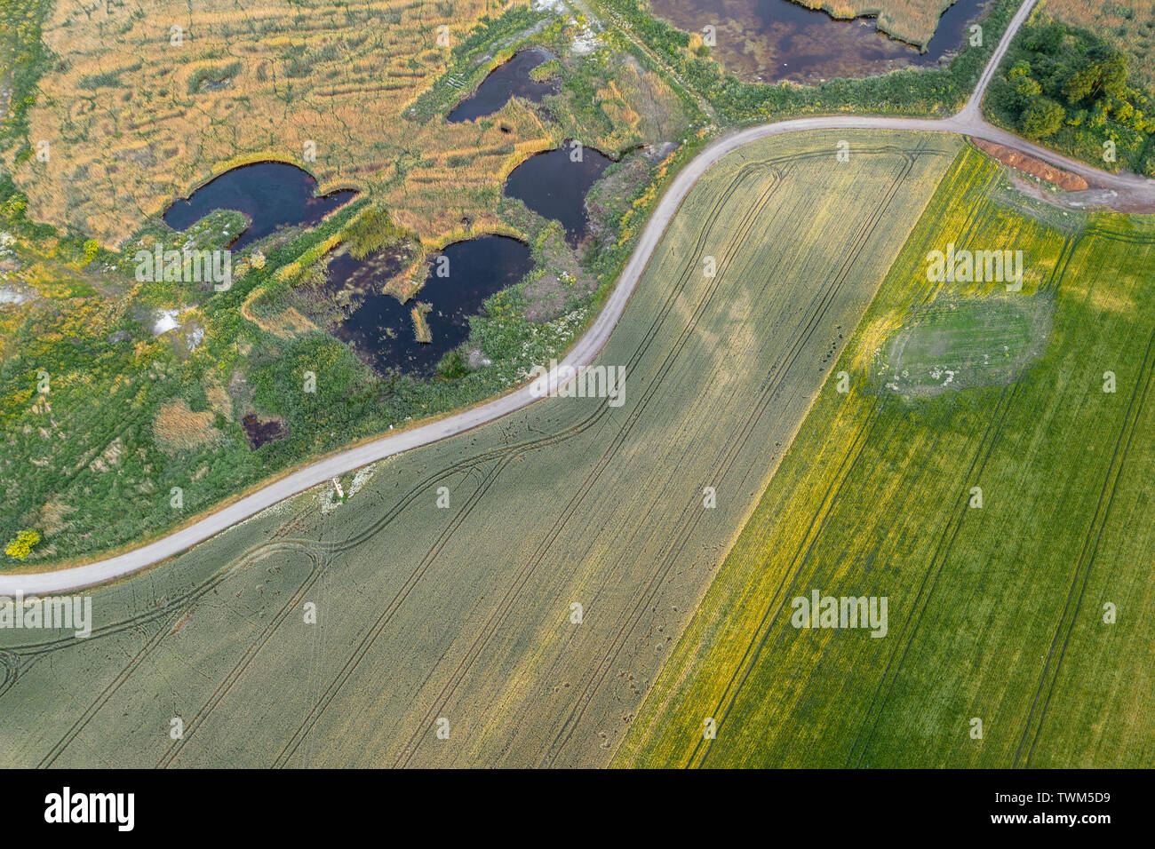 Feldweg durch den landwirtschaftlichen Bereich. Stockfoto