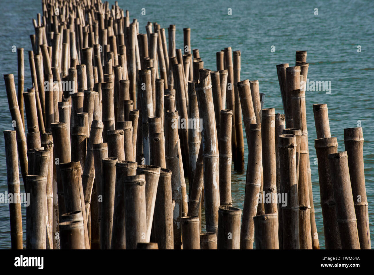Bambus Barriere im Meer Stockfotografie - Alamy