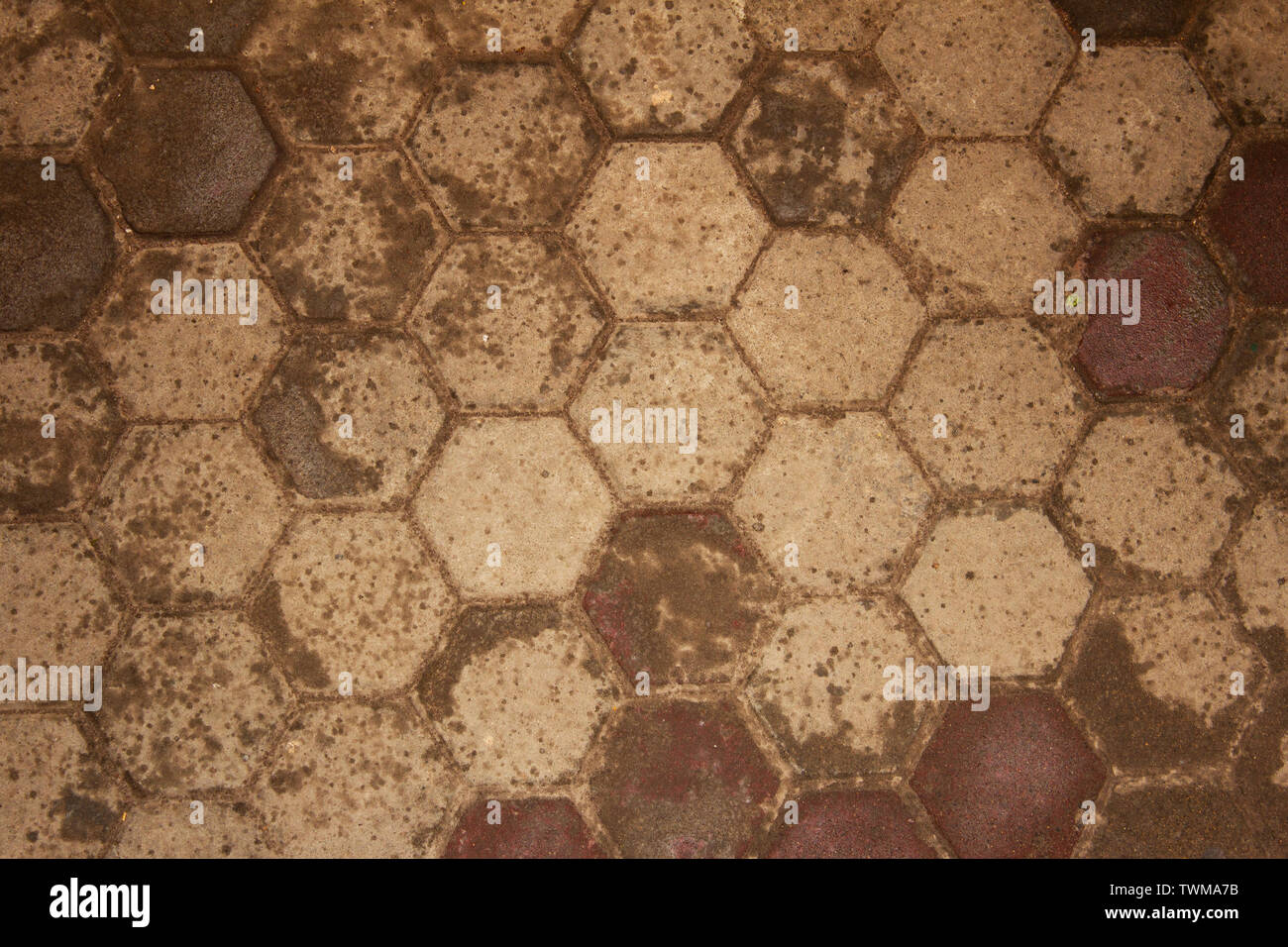 Gehweg Fliesen mit Tropfen des Regens Stockfoto