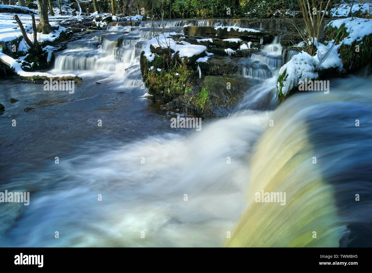 UK, South Yorkshire, Sheffield, Fluss Rivelin, Dritten Niederwald Rad Stockfoto