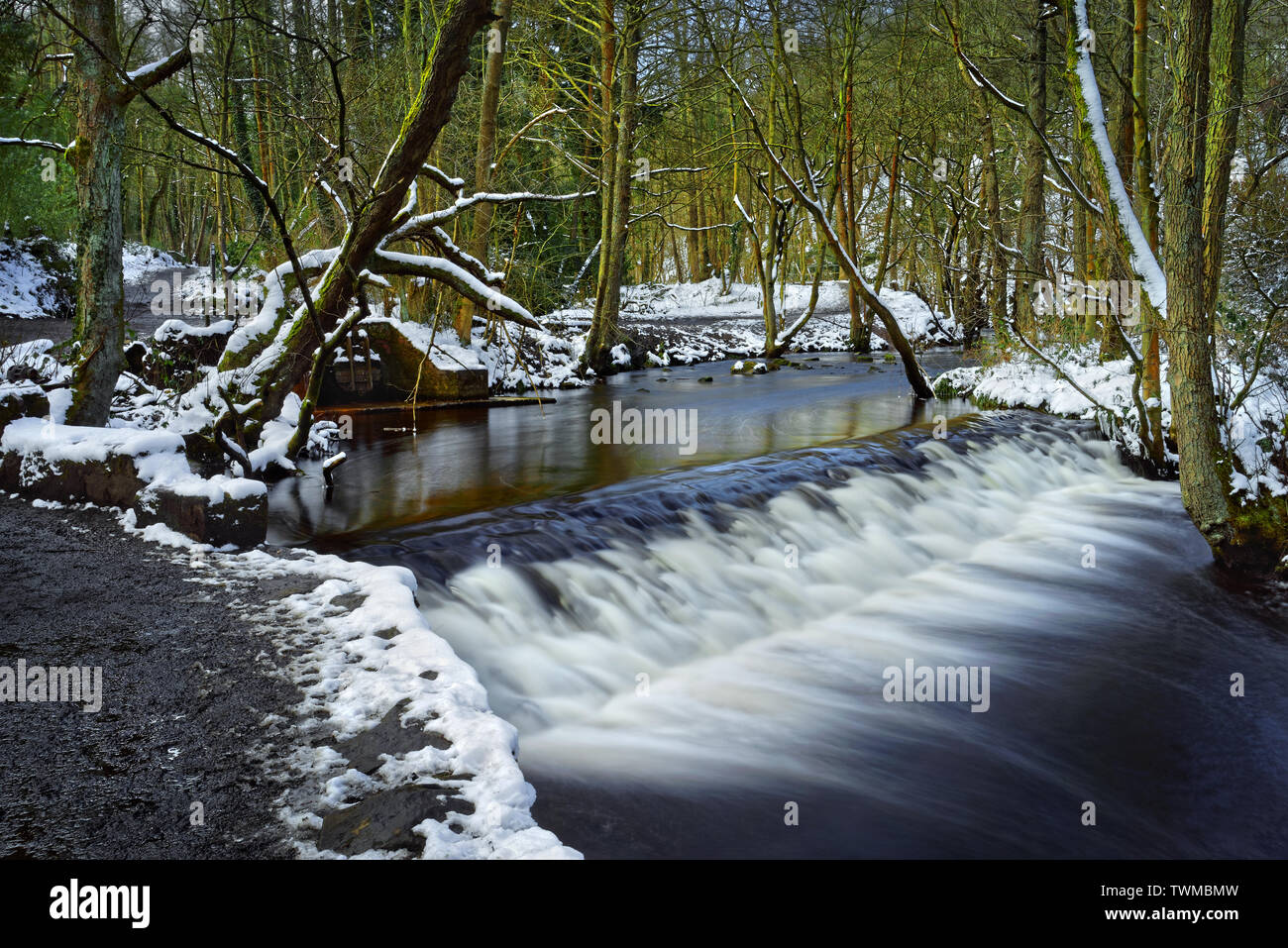 UK, South Yorkshire, Sheffield, Rivelin Tal, Fluss Rivelin, Holme Kopf Wehr Stockfoto