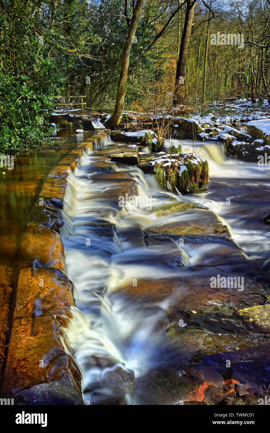 UK, South Yorkshire, Sheffield, Fluss Rivelin, Dritten Niederwald Rad Stockfoto