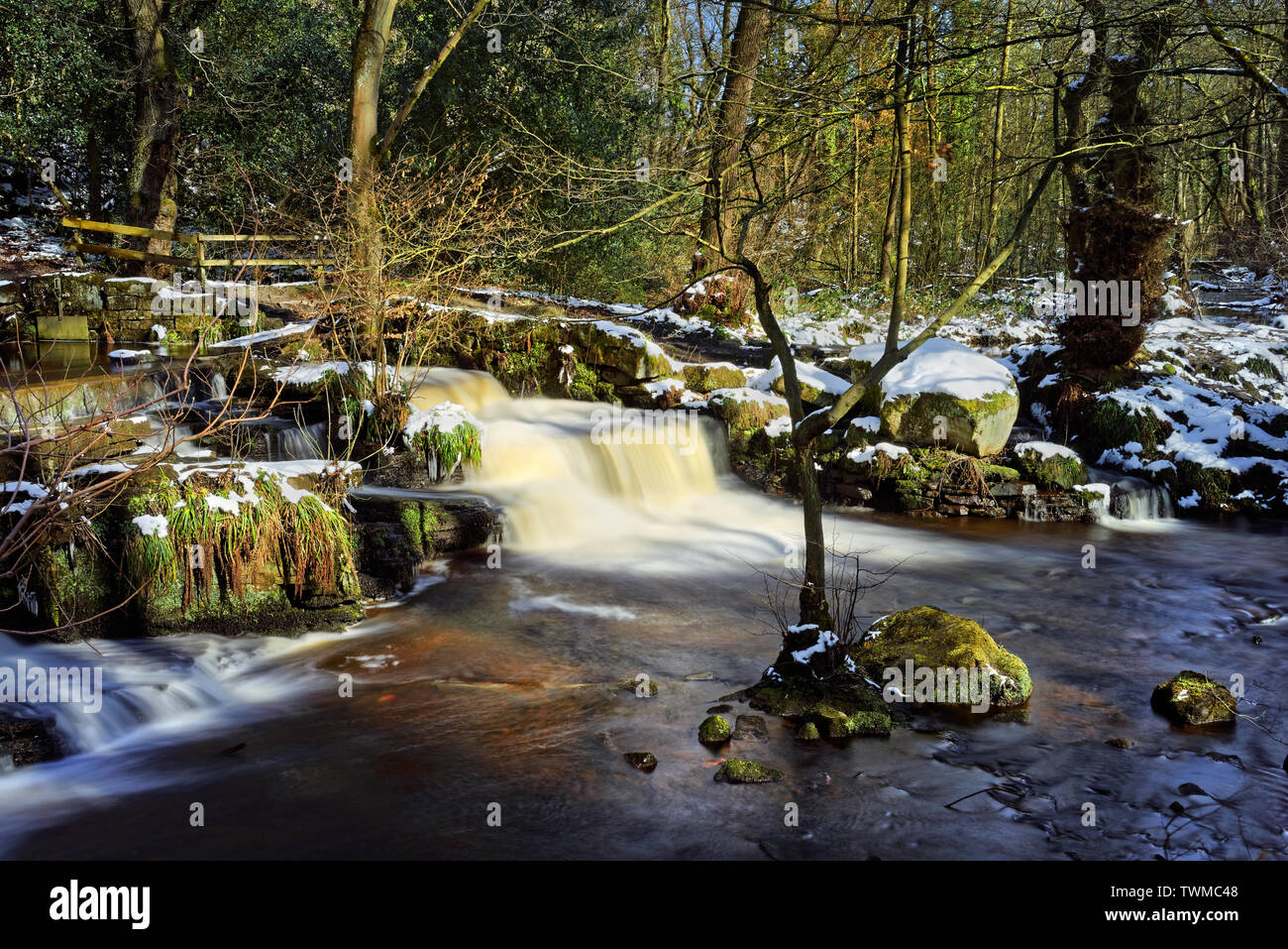 UK, South Yorkshire, Sheffield, Fluss Rivelin, Dritten Niederwald Rad Stockfoto