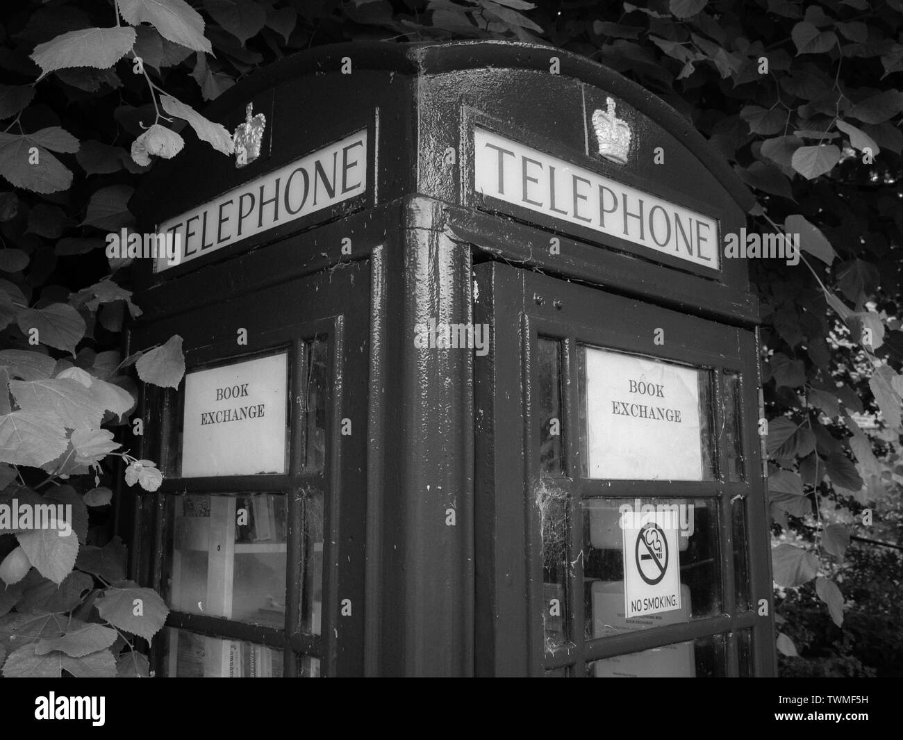 Büchertausch, die Wiederverwendung von rote Telefonzelle, auf dem Höhenweg Trail, Streatley, Berkshire, England, UK, GB. Stockfoto