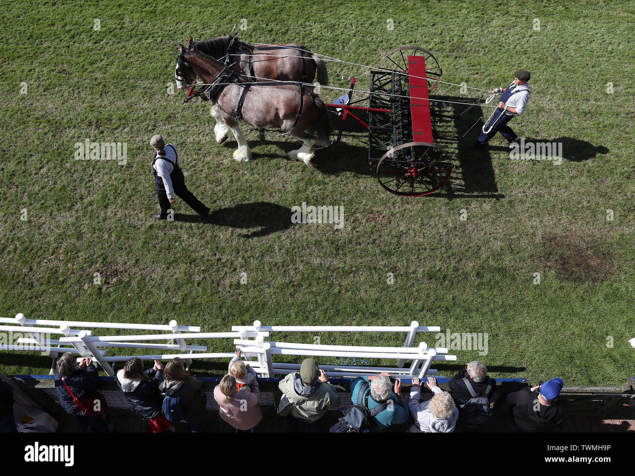 Schwere Pferde puling traditionelle landwirtschaftliche Geräte Parade im Ring an der The Royal Highland Show in Ingliston in Edinburgh statt. Stockfoto