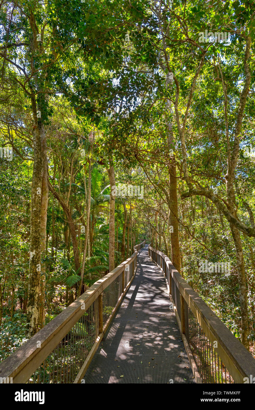 Boardwalk in der Sea Acres Rainforest Centre, Port Macquarie, New South Wales, Australien Stockfoto