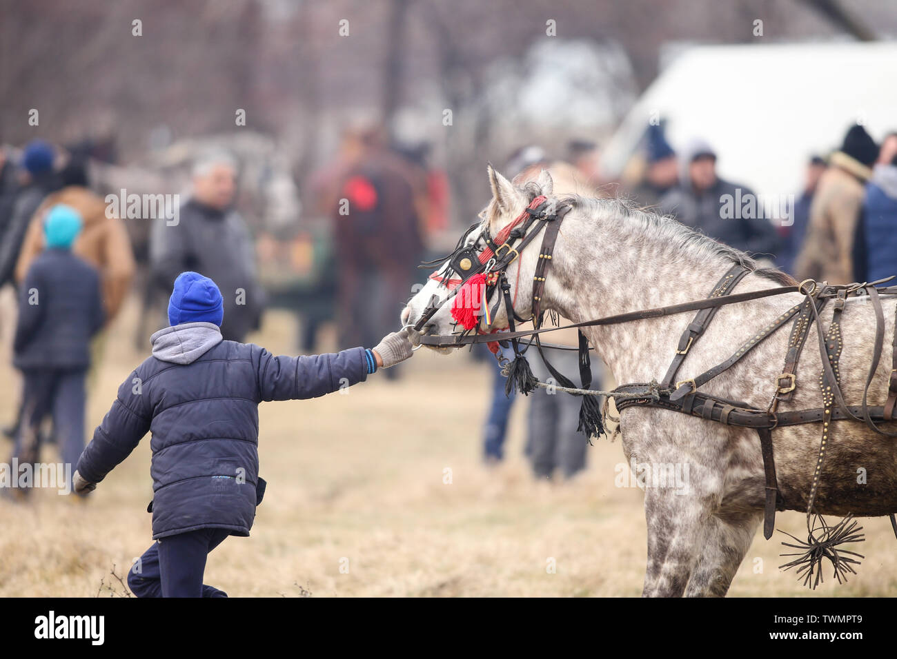 Pietrosani, Rumänien - Januar 6, 2019: Junge bearbeitet einen geschmückten Pferd, bevor eine Epiphanie feier Pferderennen. Stockfoto