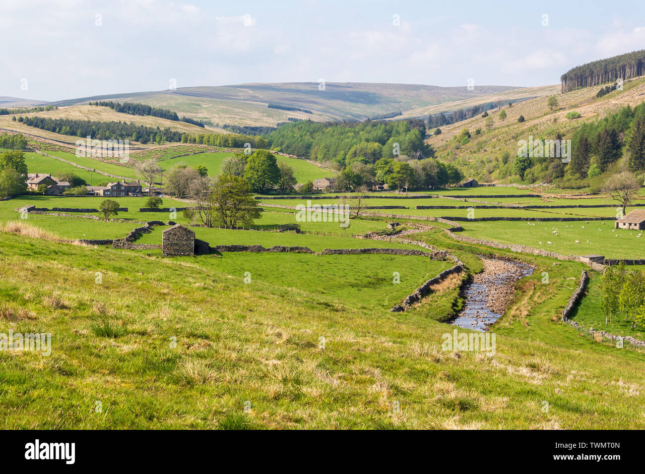 Valley Stream in der grünen Landschaft der Yorkshire Dales, England, UK. Stockfoto