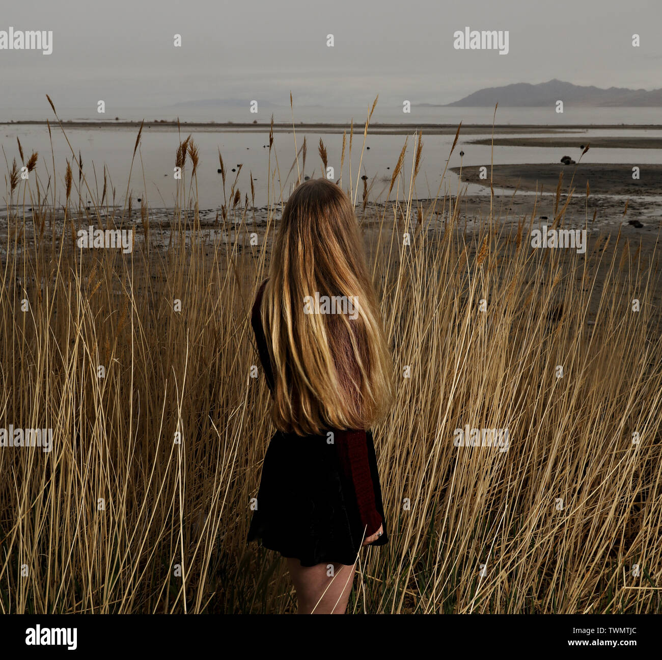 Die Rückseite einer Frau mit langen blonden Haaren Spaziergänge durch die long tall Gräser in Richtung der Großen Salz See bei Sonnenuntergang. Stockfoto