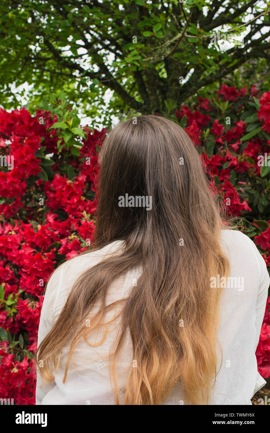 Eine junge Frau und ein Rhododendron Bush. Stockfoto