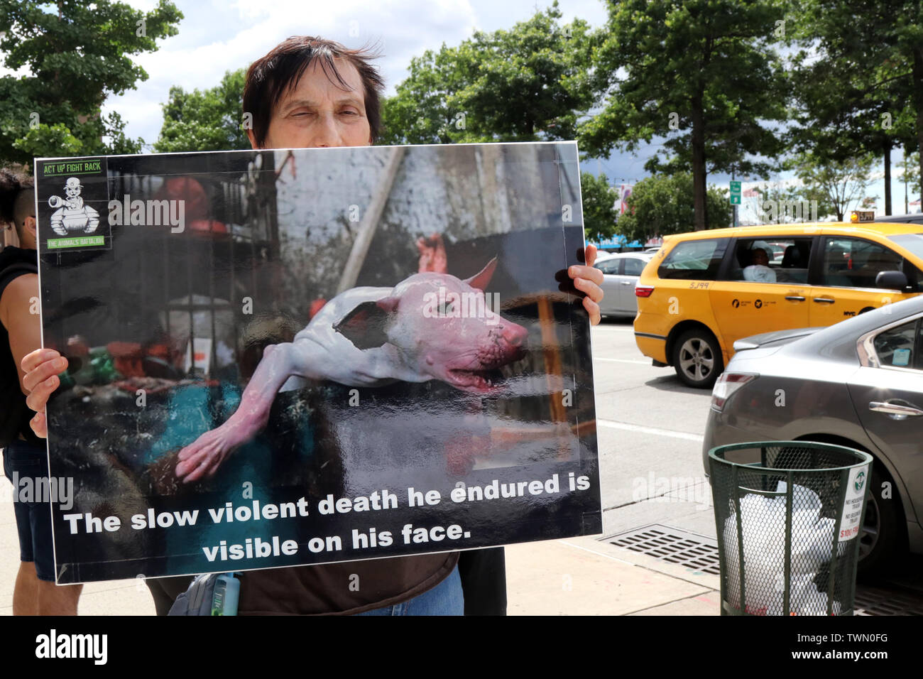 New York, NY, USA. 21 st. Juni, 2019. Tierschützer mit AnimlasBattalion.org bestreikten die Chinesische Botschaft auf der New Yorker West Side am 21. Juni 2019, über die Tötung und der Verzehr von Hundefleisch in China bei der jährlichen Yulin Hund Fleisch Festival. Diese 'Festival', wo rund 10.000 Hunde geschlachtet werden und diente als Mahlzeiten. Nach Demonstranten, viele der Tiere getötet werden gestohlene Haustiere von denen einige noch gesehen haben ihre Halsbänder tragen. © 2019 G. Ronald Lopez/Alamy leben Nachrichten Stockfoto