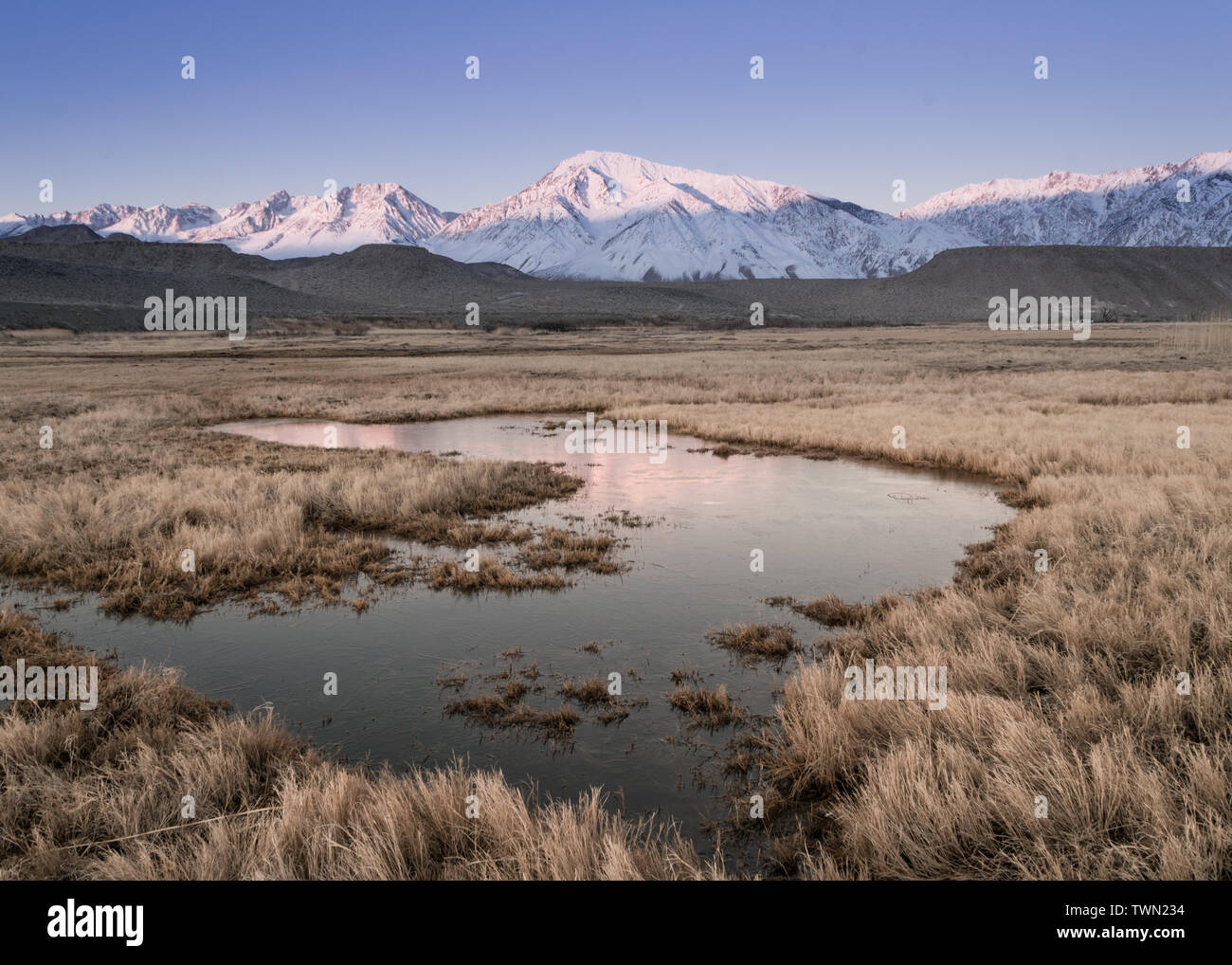 Owens River Eastern Sierra Mountains, Kalifornien Vereinigte Staaten von Amerika Stockfoto