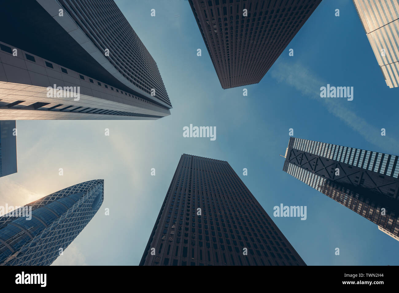 Tokyo Wolkenkratzer Gebäude in Tokyo Shinjuku Stadtzentrum und Geschäftsviertel in morgen in Tokio, Japan. Stockfoto
