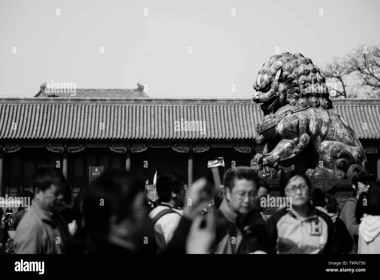 Einen goldenen Löwen vor der Halle der Geistigen Anbau in der Verbotenen Stadt Stockfoto