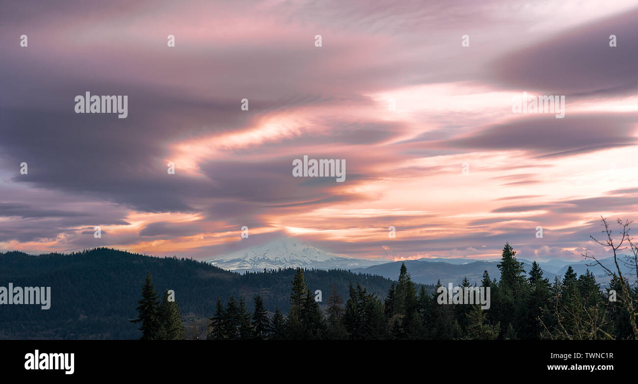 Rosafarbener, wolkiger Sommerhimmel über den Pacific Northwest Mountains und Baumkronen Stockfoto