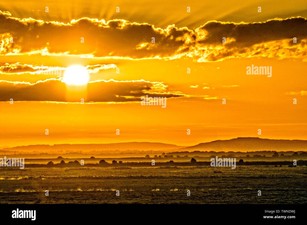 Southport, Merseyside, 22. Juni 2019. Ein warmer und sonniger Start in den Tag über den Nordwesten von England als die Dämmerung sonnenaufgang Kaskaden über die RSPB Nature Reserve Marshside in Southport, Merseyside. Diese geschützten Feuchtgebiete sind Tausende von Zugvögel im Winter Saison. Singschwänen und Kanadischen rosa Gänse gedeihen in diesen Reichlichen Nahrungsaufnahme. Credit: cernan Elias/Alamy leben Nachrichten Stockfoto