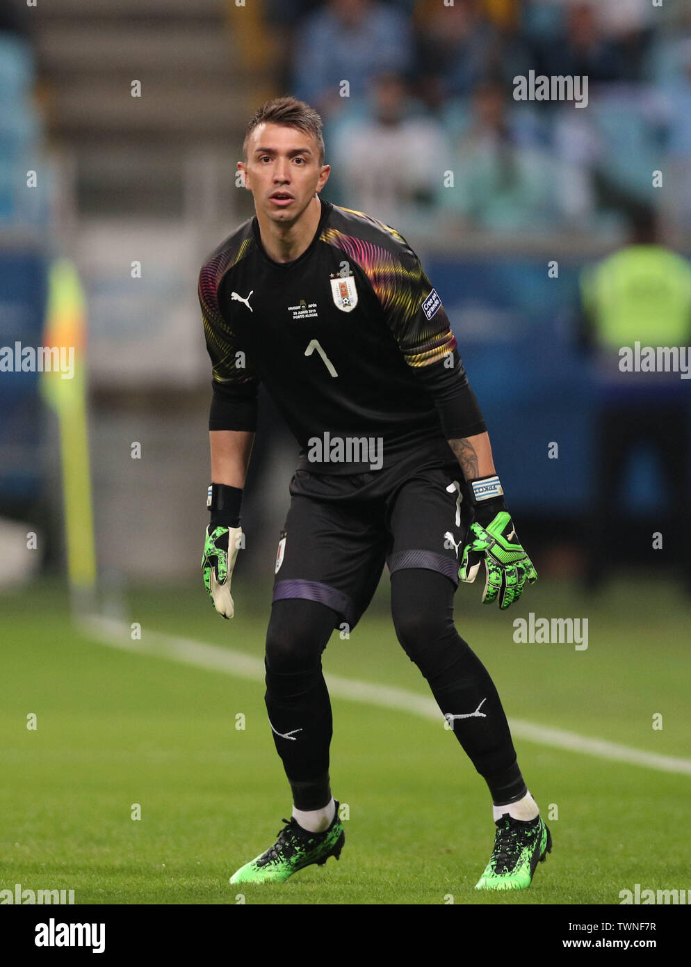 Fernando muslera uruguay Fotos und Bildmaterial in hoher Auflösung