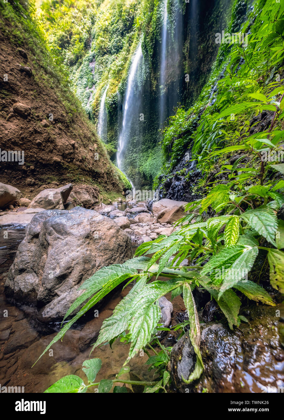 Majestic Madakaripura Wasserfall auf der felsigen Klippen in Ostjava, Indonesien fließende Stockfoto