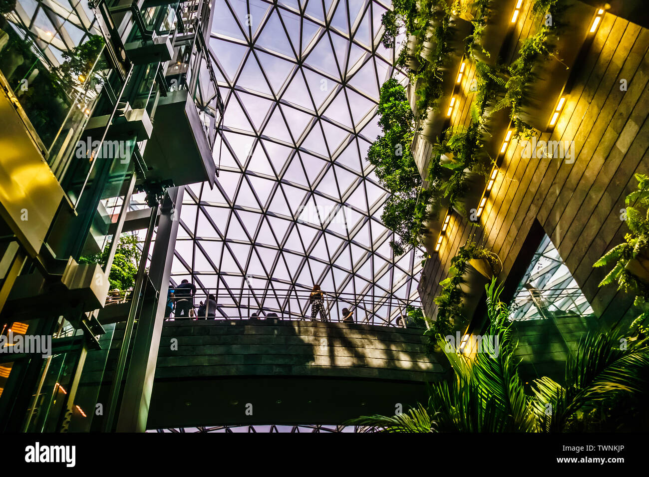 Singapur May 11 2019 Jewel Changi Airport Ist Eine Gemischte