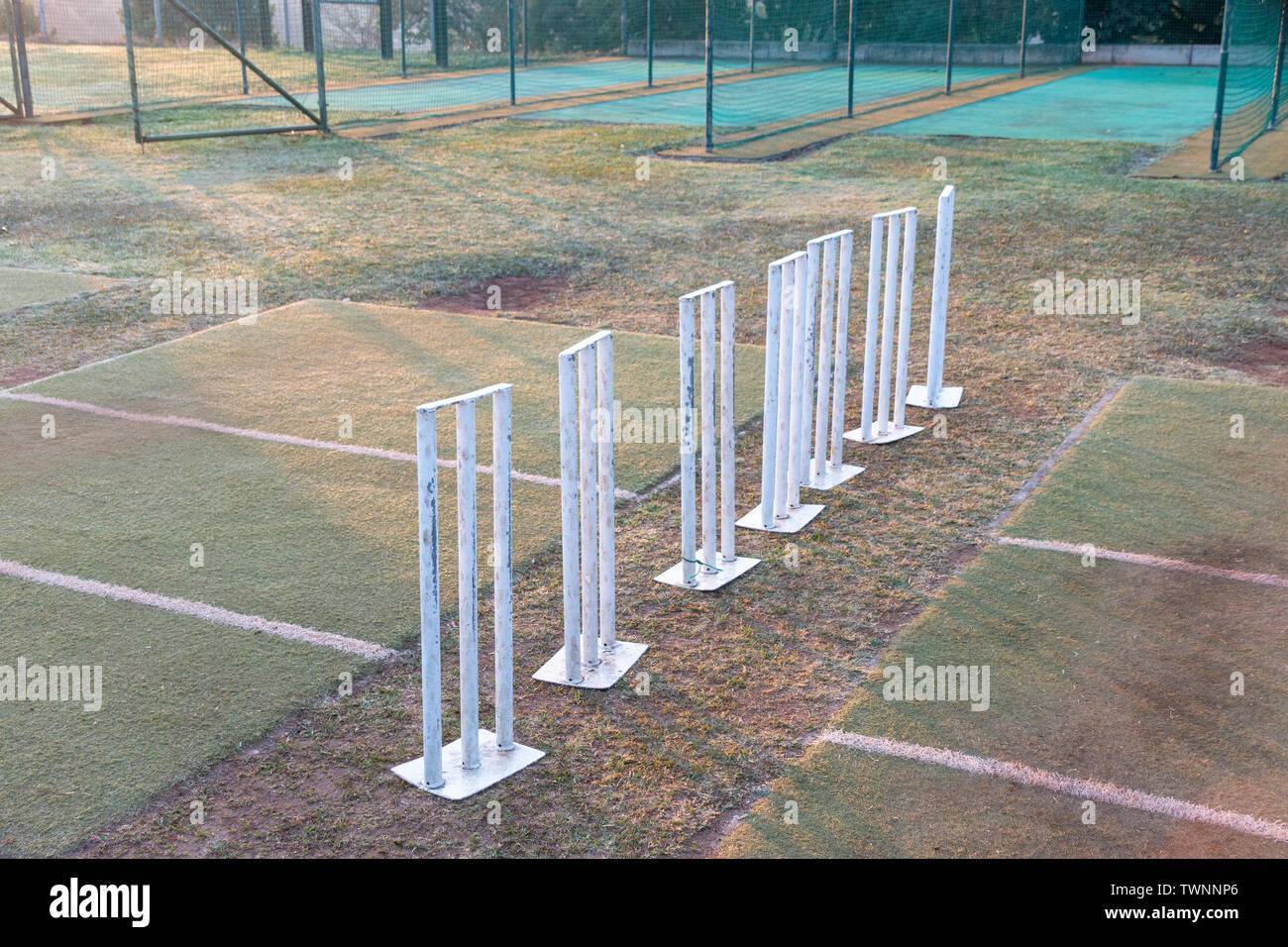 Aus der Nähe zu sehen. Sieben weiße Metall cricket Wickets, die alle in einer Reihe auf dem Feld für die Praxis bereit Stockfoto
