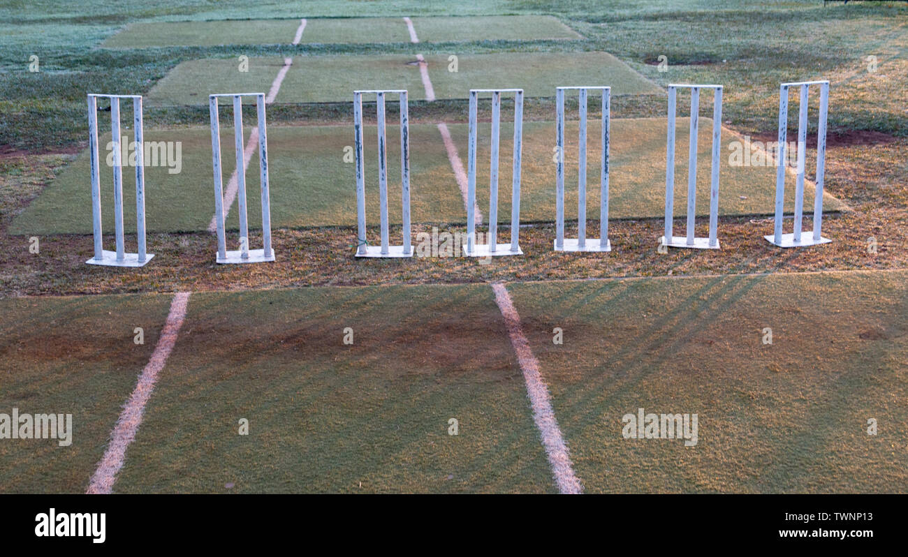 Aus der Nähe zu sehen. Sieben weiße Metall cricket Wickets, die alle in einer Reihe auf dem Feld für die Praxis bereit Stockfoto