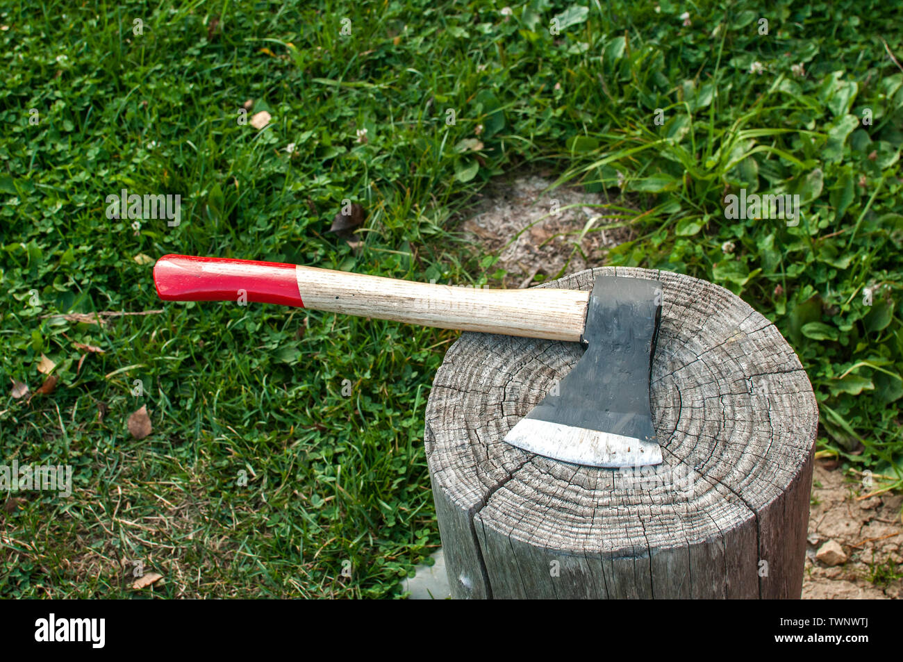 Eine Klinge aus holzfäller Axt mit Holzgriff closeup auf alten verwitterter Baumstamm Stockfoto