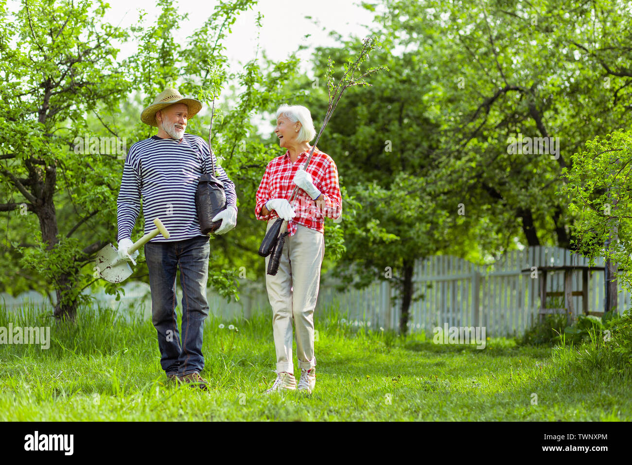 Bereit für das Einpflanzen. Paar Rentner Rentner bereit für die Anpflanzung von Bäumen in Ihrem Garten Stockfoto