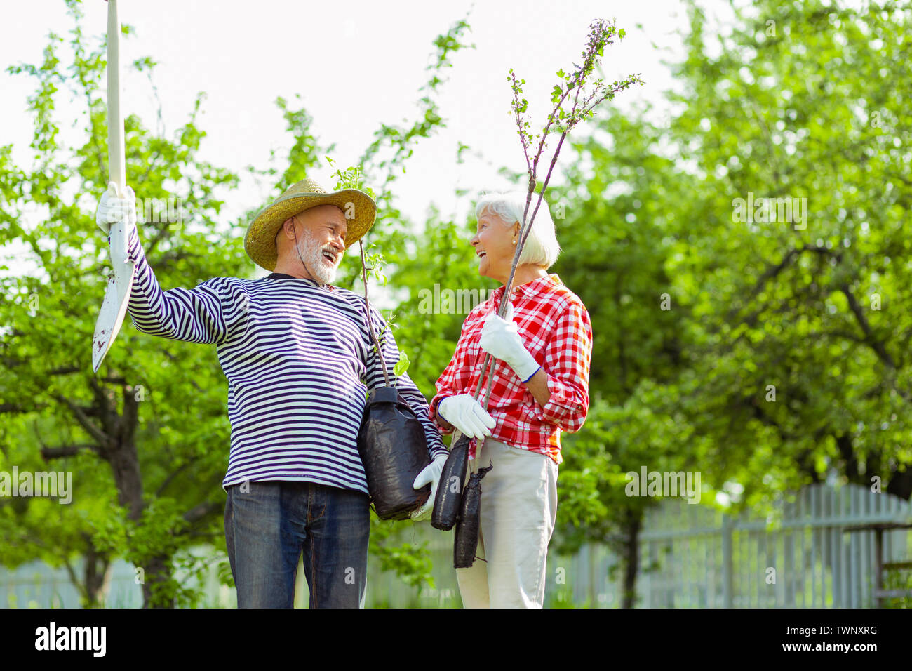 Rentner lachen. Paar strahlende Rentner lachend vor der Anpflanzung von Bäumen in der Nähe von Ihrem Ferienhaus Stockfoto