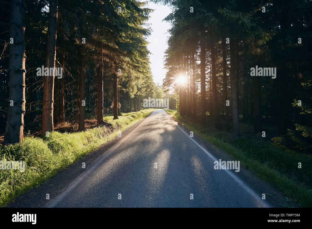 Leere Landstraße im Wald bei Sonnenuntergang, Tschechische Republik Stockfoto