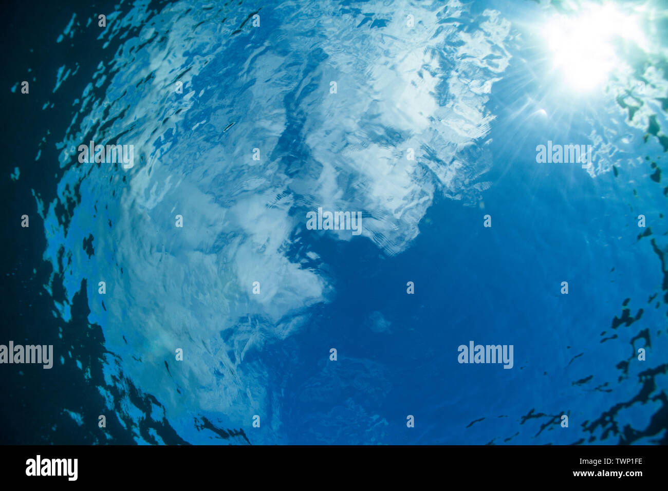 Sonnenlicht durch die Oberfläche des Pazifischen Ozeans. Stockfoto