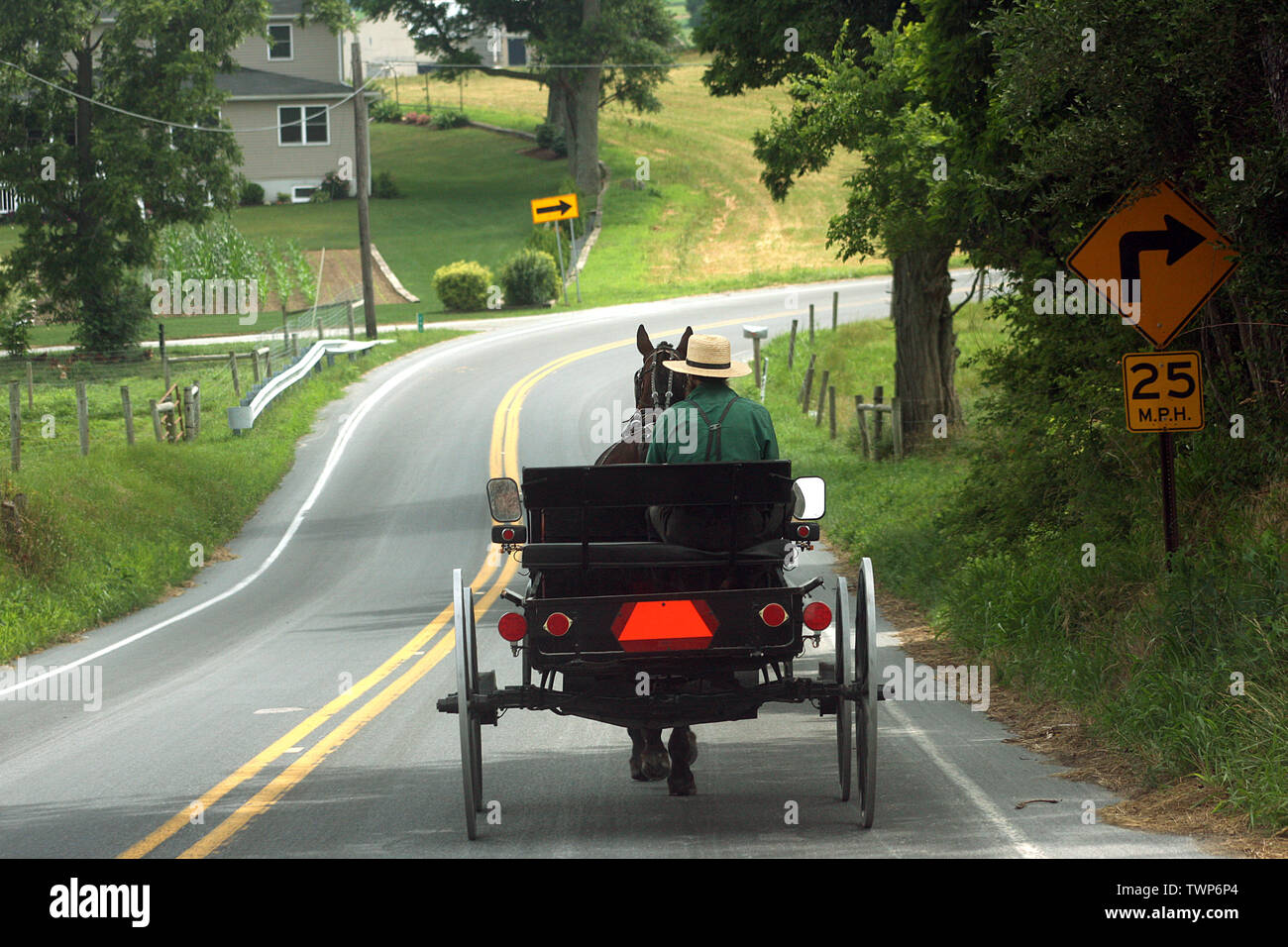 Amish Mann, einen Buggy auf einer Landstraße in Pennsylvania, USA Stockfoto