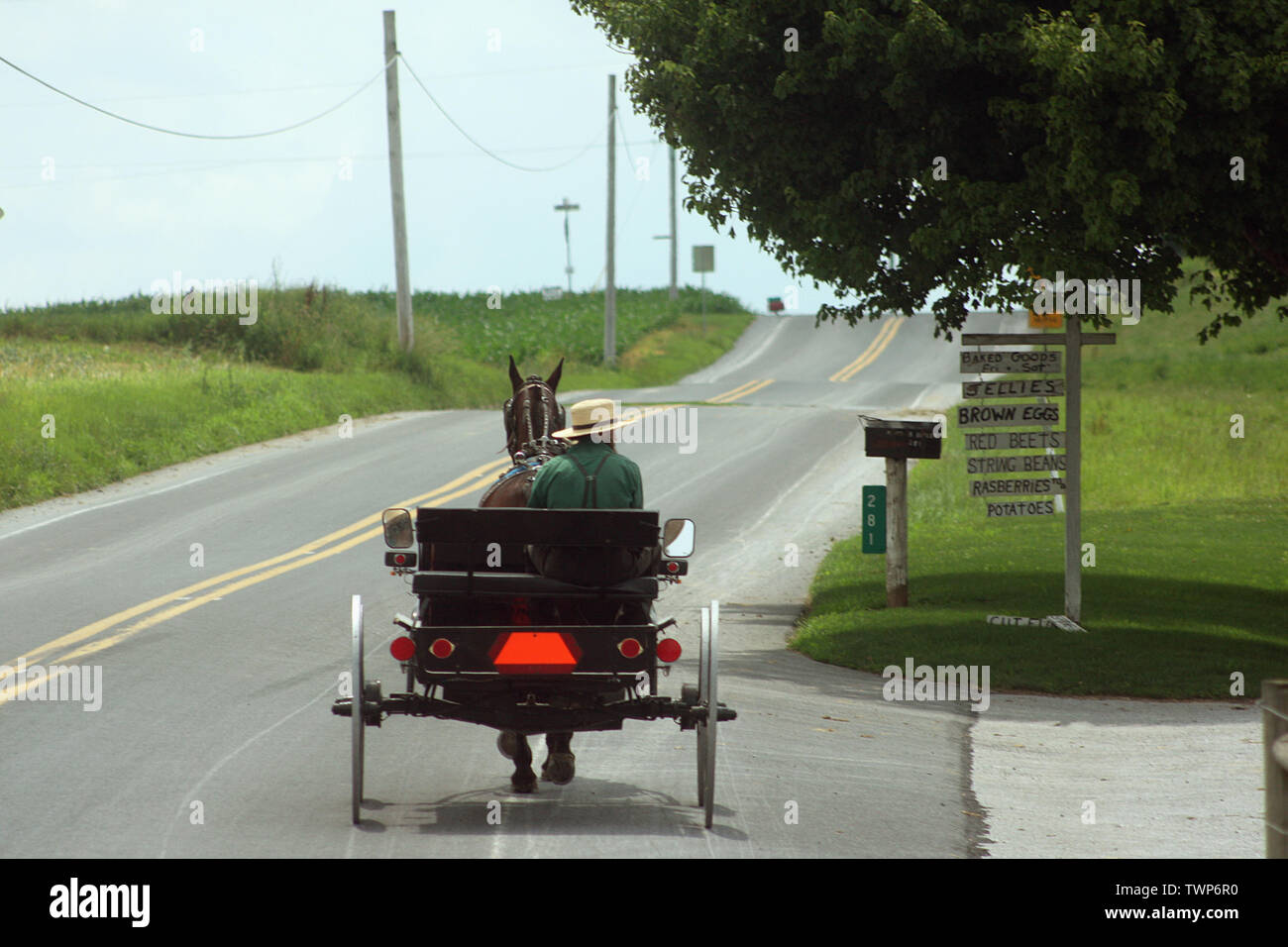 Amish Mann, einen Buggy auf einer Landstraße in Pennsylvania, USA Stockfoto
