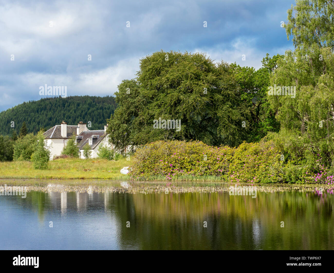 Großes Landhaus und See Stockfoto