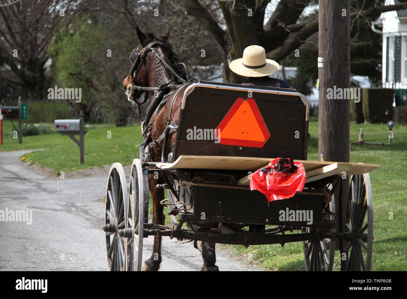 Amish Mann, einen Buggy auf einer Landstraße in Pennsylvania, USA Stockfoto