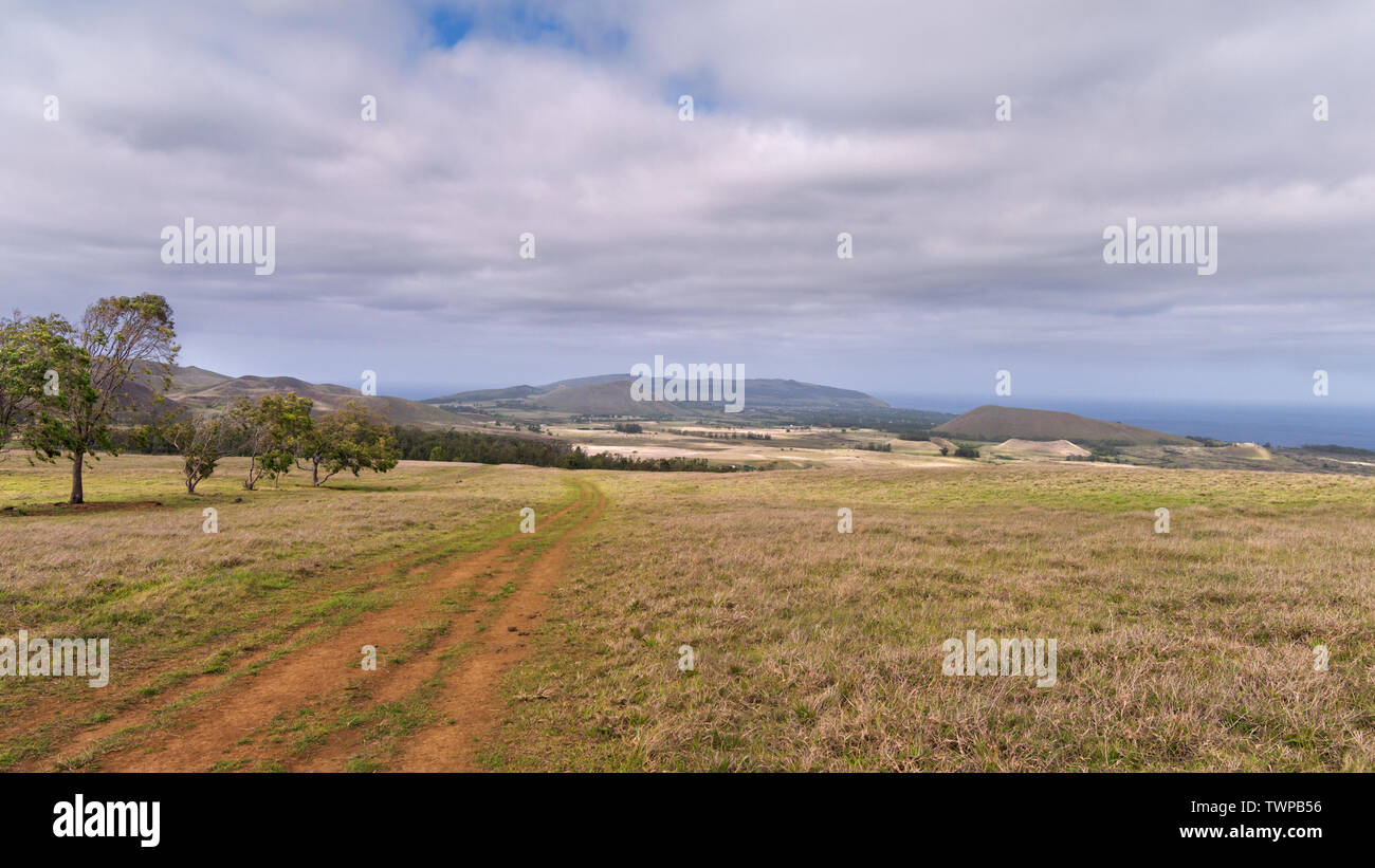 Panoramablick von der nördlichen Spitze der Osterinsel mit einsamen Bäumen und gelben Gras. Stockfoto