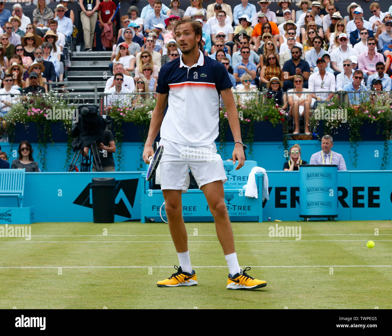 London, Großbritannien. 22. Juni, 2019. LONDON, ENGLAND - JUNI 2: Daniil Medwedew (RUS) gegen Gilles Simon (FRA) während Halbfinale 6. Tag des Fever-Tree Meisterschaften im Queens Club am 22. Juni 2019 in London, Vereinigtes Königreich. Credit: Aktion Foto Sport/Alamy leben Nachrichten Stockfoto