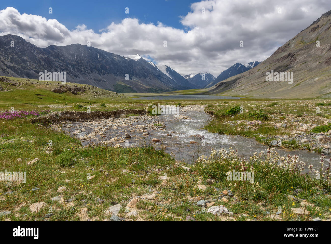 Schönen Sommer Landschaft mit Bergen, See, Fluss und Blumen im Vordergrund gegen den blauen Himmel und Wolken Stockfoto