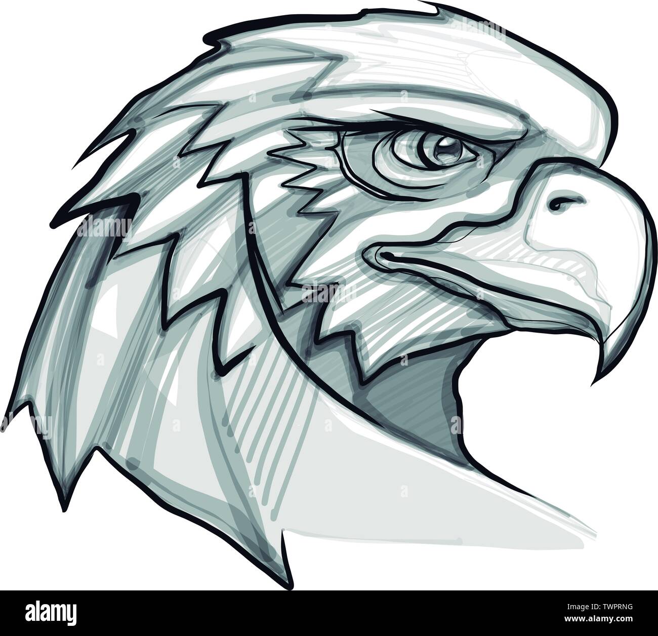 Hand gezeichnet vector Abbildung oder Zeichnung eines Adlers Kopf Stock Vektor