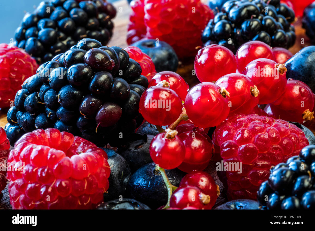 Eine Nahaufnahme der Beeren: Himbeeren, Brombeeren, Heidelbeeren, roten Johannisbeeren. Wundervolle lebendige Farben Stockfoto