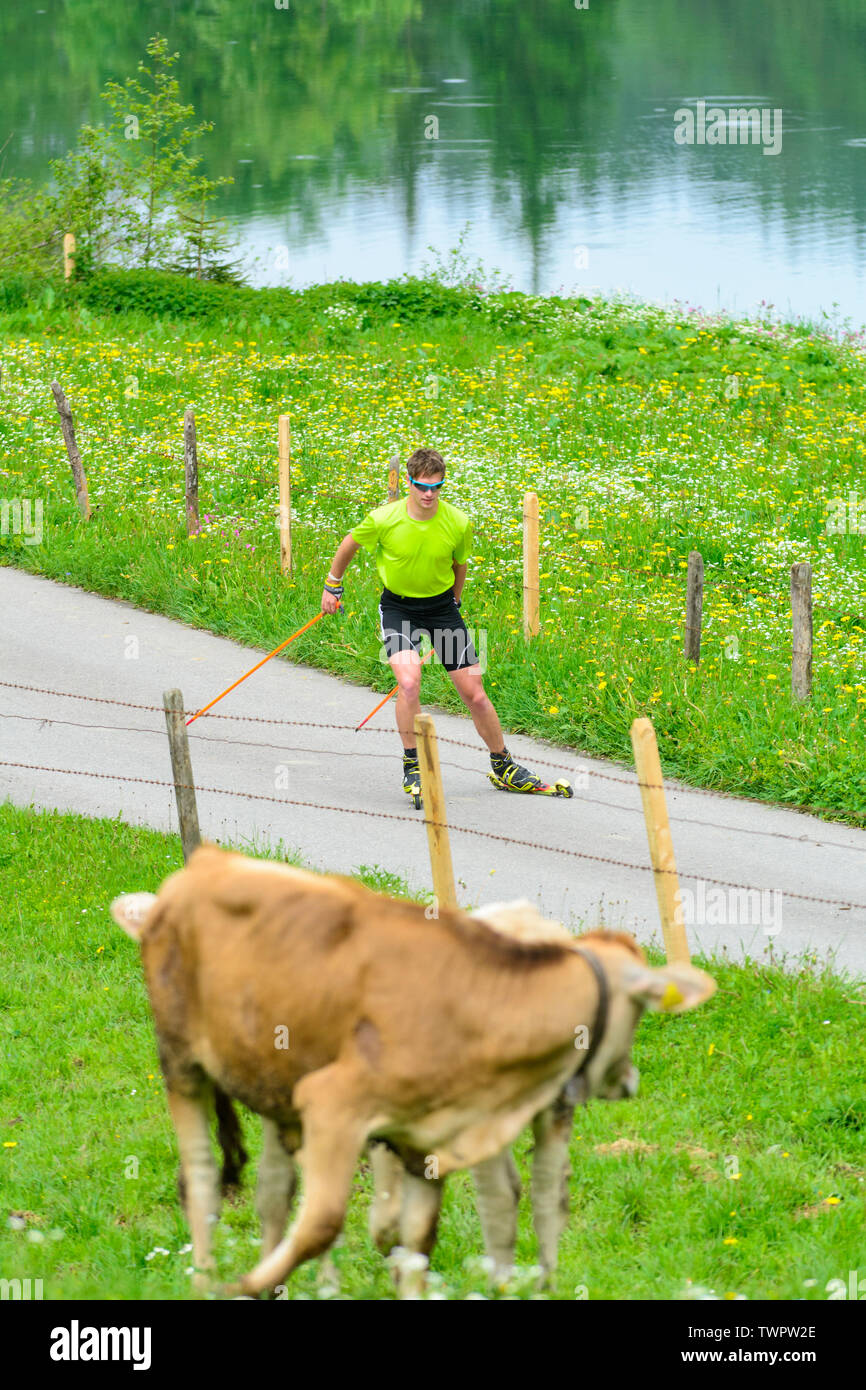 CC-Skifahrer während einer Trainingseinheit im Sommer Stockfoto