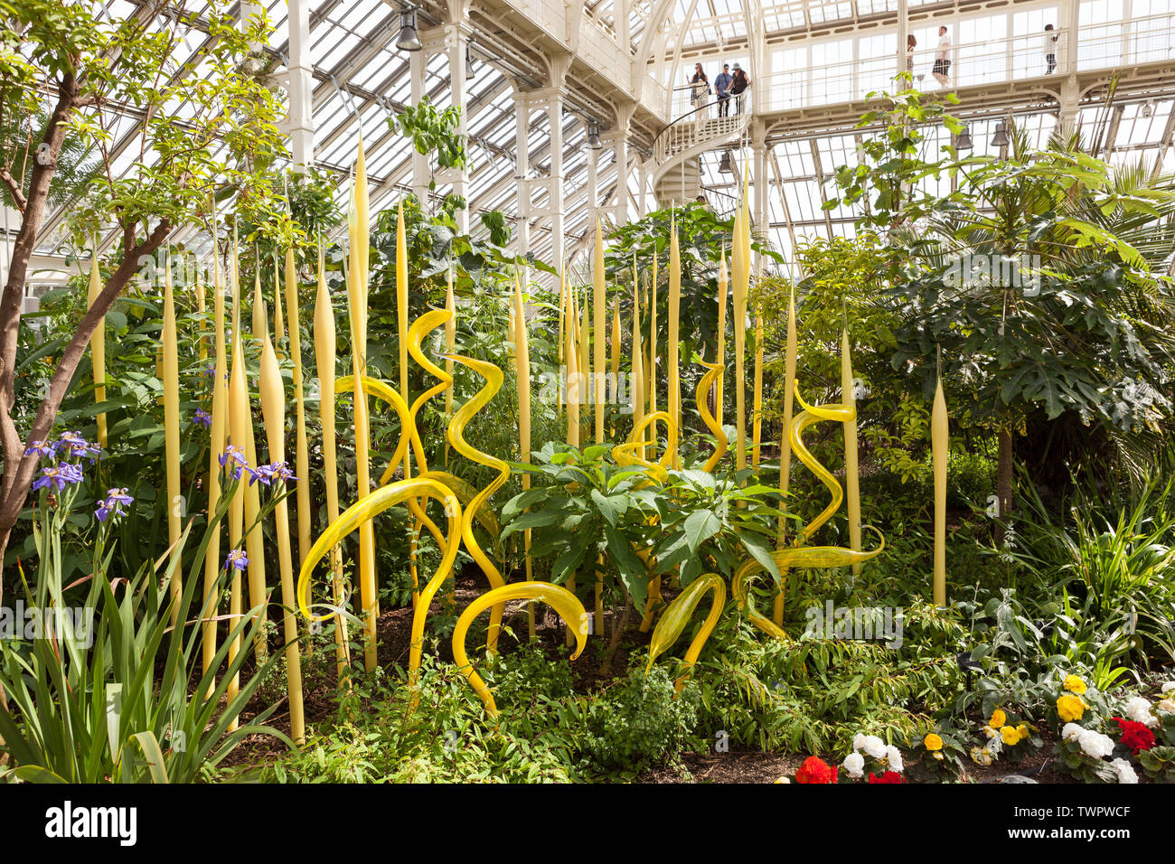 Gelbe Fischreiher und Schilf ist ein Glas Skulptur von zeitgenössischen USA Künstler Dale Chihuly, in den Gemäßigten Haus in Kew Gardens, London installiert. Stockfoto